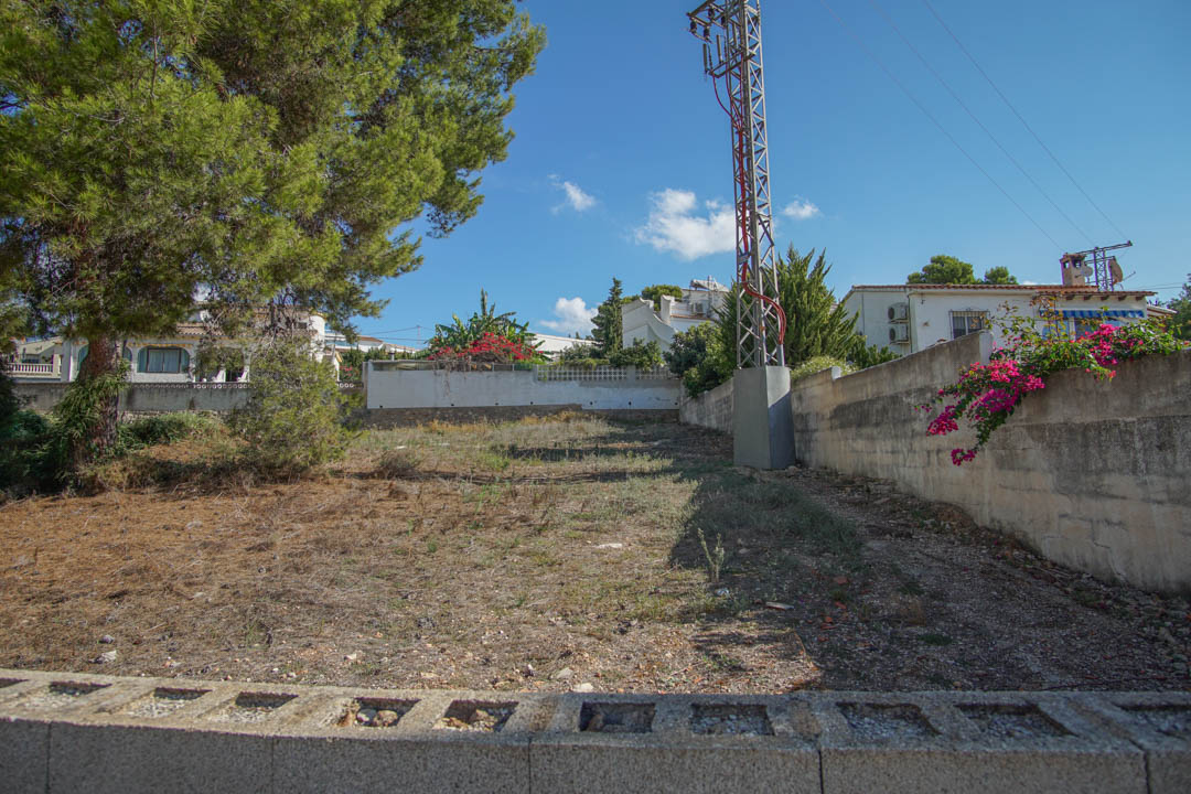 Clear outdoor plot with concrete perimeter walls, a mature pine tree, and bougainvillea, providing ample space for parking at the front of the villa.