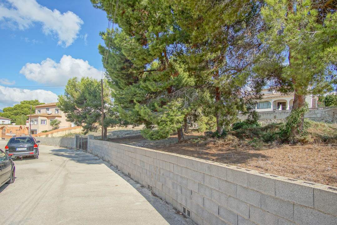 Exterior view from the street featuring a concrete block perimeter wall, mature pine trees providing natural shade, and the paved access road to the villa.