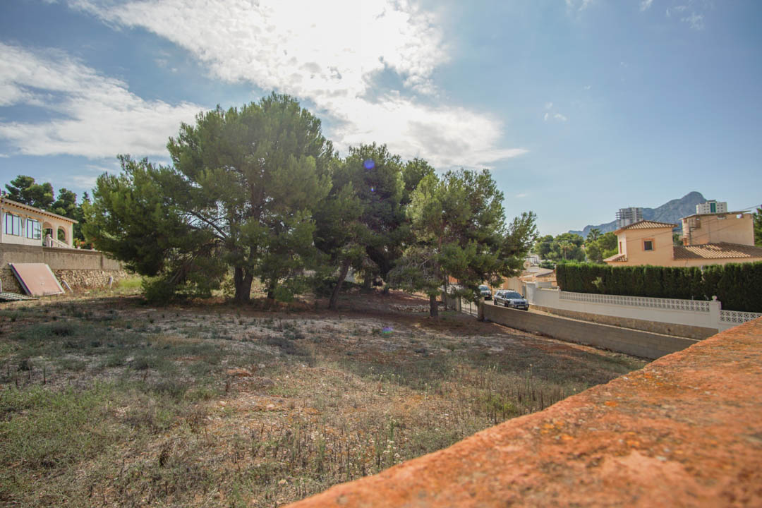 Outdoor plot featuring mature pine trees and clear views of the distant mountains, bordered by stone perimeter walls in a quiet neighborhood.