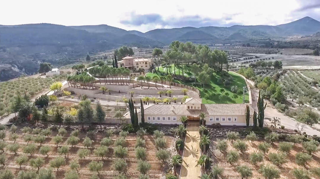 Aerial view of the estate featuring extensive olive groves, the entrance building, and the main villa set upon a terraced hillside with mature pine trees.
