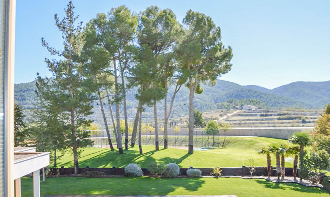 Elevated view of the manicured lawn featuring tall pine trees and palm trees, with a fenced tennis court and mountain backdrop in the distance.