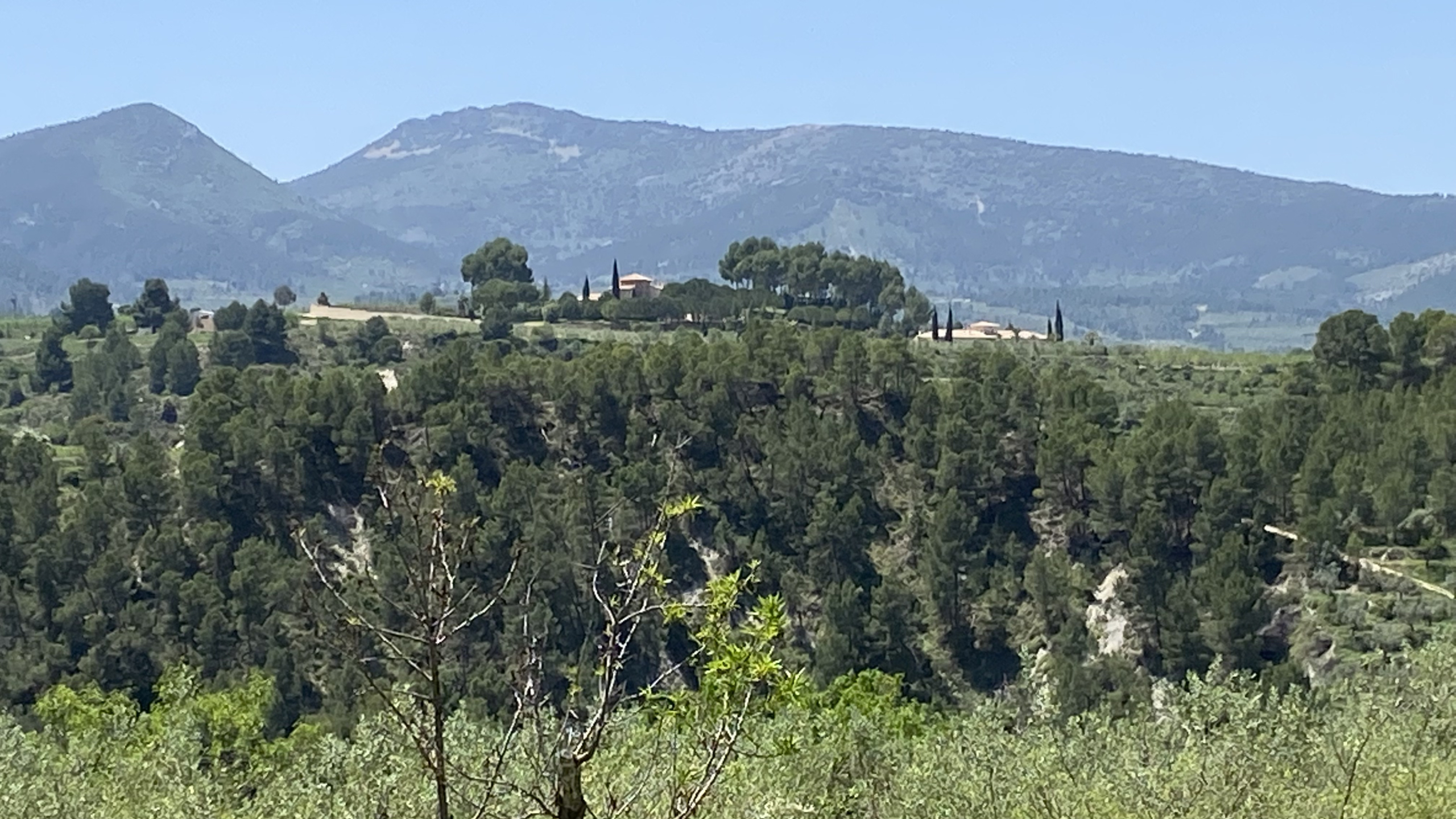 Panoramic view of the estate nestled among dense pine forests and rolling mountains, featuring the main buildings integrated into the natural Mediterranean landscape.