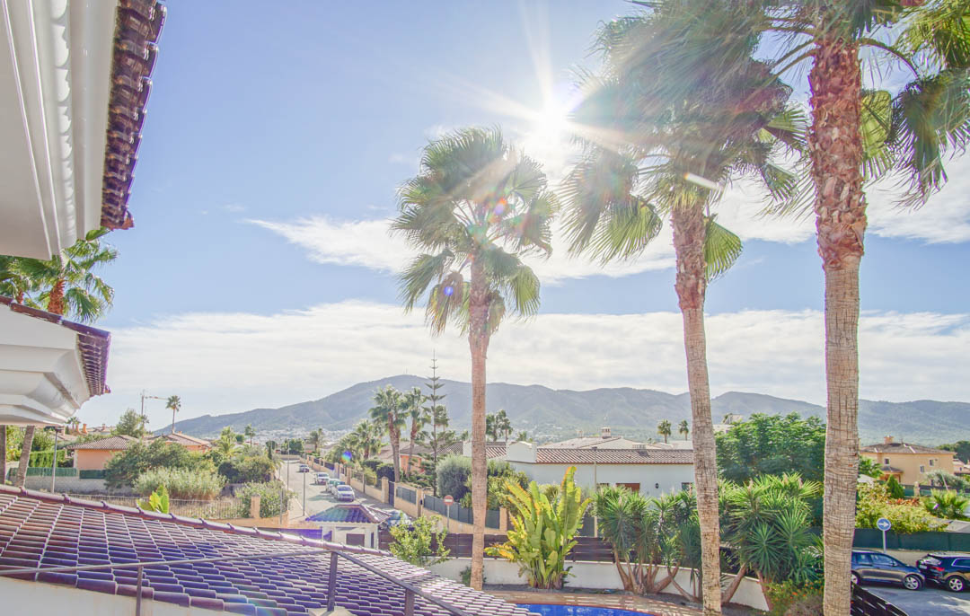 Elevated view from the upper terrace featuring mature palm trees, a quiet residential street, and distant mountain peaks under a bright sun.