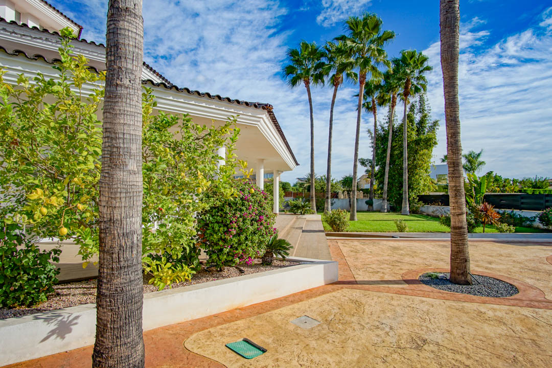 Exterior view of the colonial villa featuring a mature garden with tall palm trees, a fruiting lemon tree, and a stamped concrete driveway under a clear sky.