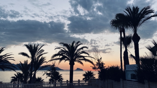 Panoramic Mediterranean Sea views at sunset from the property, featuring silhouetted mature palm trees and the coastal mountain skyline under a twilight sky.