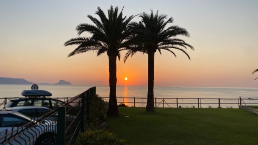 Panoramic sunset view over the Mediterranean Sea from the garden, featuring silhouetted mature palm trees and the distant coastline.