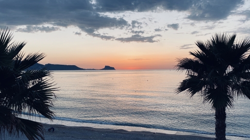 Panoramic view of the Mediterranean Sea at sunset, framed by palm trees with the coastal silhouette visible on the horizon.
