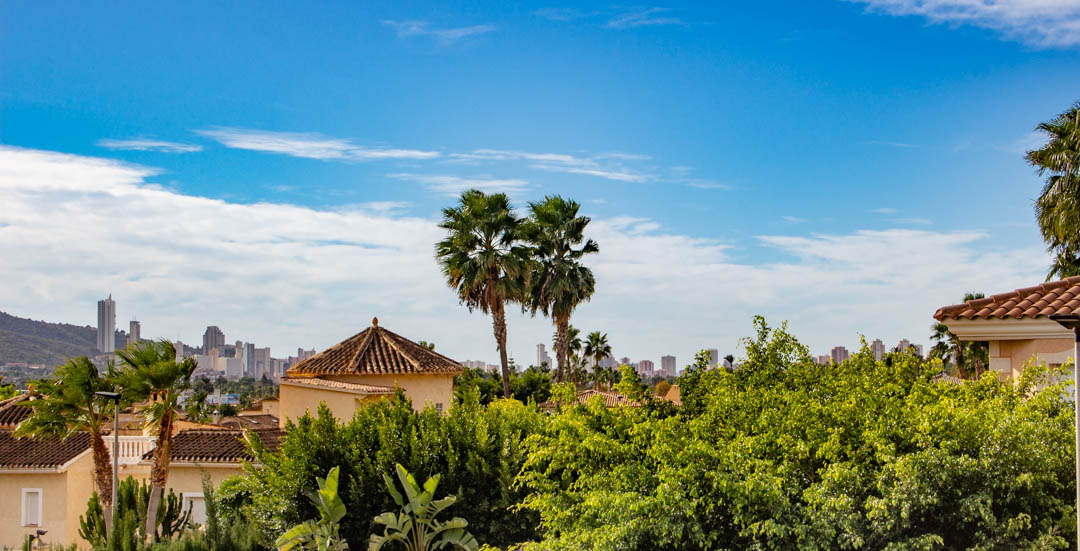 Panoramic views from the property overlooking the city skyline, featuring mature palm trees, lush greenery, and Mediterranean rooftops under a clear blue sky.