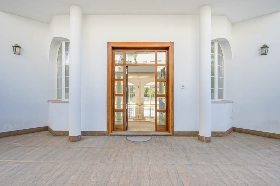 Symmetrical main entrance featuring a large wood-framed glass door, flanked by white columns and arched windows with classic lanterns.