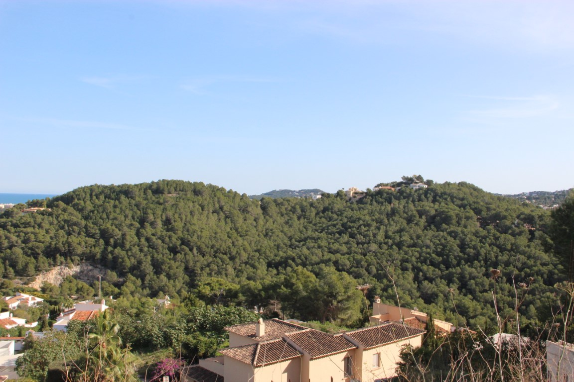 Elevated panoramic views overlooking a dense Mediterranean pine forest and the sea horizon, featuring traditional terracotta rooftops.