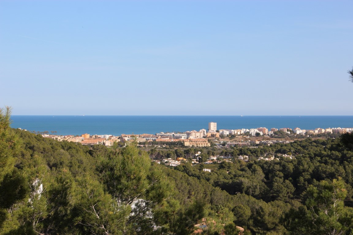 Panoramic views of the Mediterranean Sea and the coastal town skyline from the elevated plots, framed by a lush pine forest canopy and a clear blue horizon.