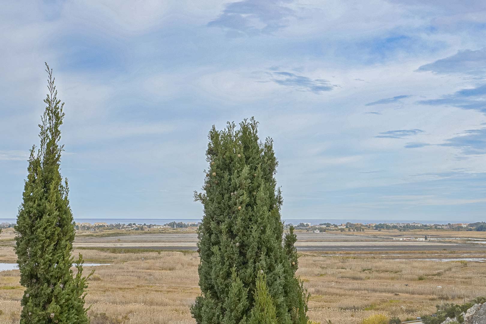 Panoramic views from Monte Pego, featuring cypress trees in the foreground and the coastline in the distance.