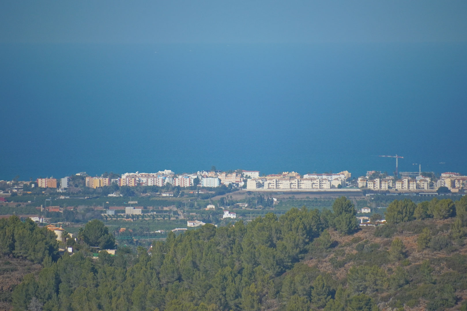 Panoramic views from the property towards the Mediterranean coast, showcasing the contrast between the lush pine forest and the blue sea on the horizon.