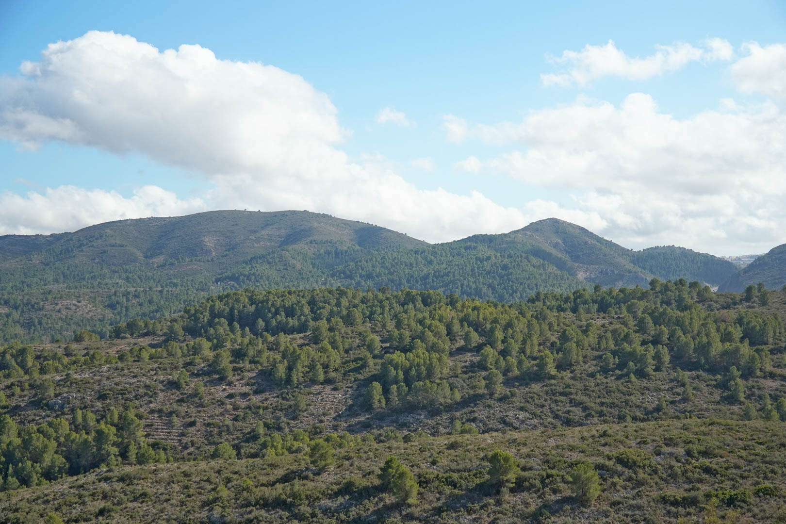 Panoramic views of the surrounding Pedreguer mountains, featuring dense Mediterranean pine forests under a bright, cloud-scattered sky.