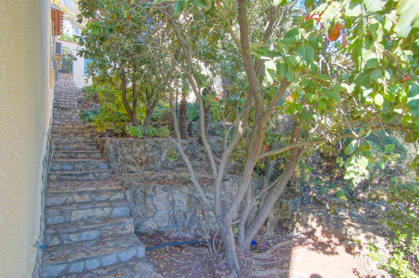 Exterior natural stone staircase ascending through a terraced garden featuring dry stone retaining walls and mature Mediterranean trees.
