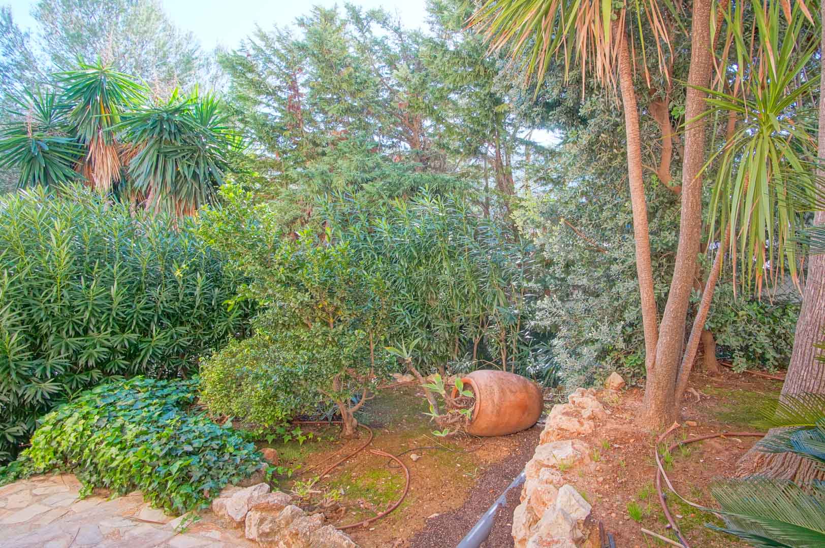 Mediterranean garden featuring mature vegetation, palms, and dense shrubbery. A decorative terracotta amphora lies beside a natural stone border and paved path.