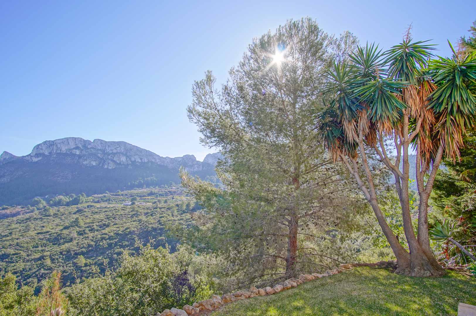 Panoramic mountain views from the landscaped garden, featuring native pines and mature yucca trees under a clear, bright sky.