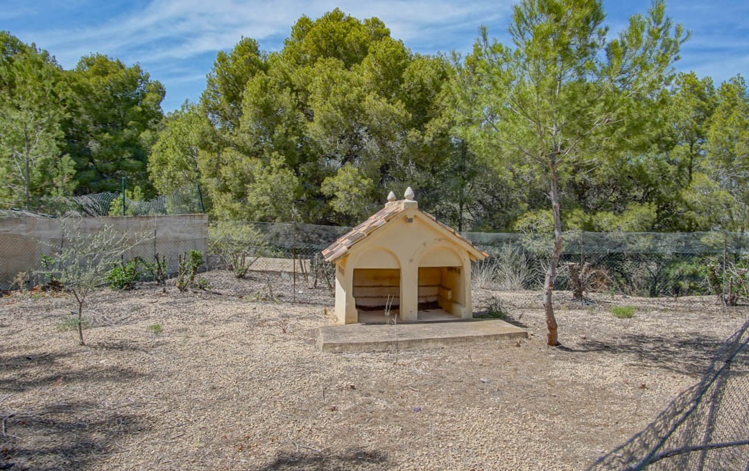 Spacious fenced dog enclosure featuring a double-arched masonry kennel with a tiled roof, set within a natural pine forest environment.