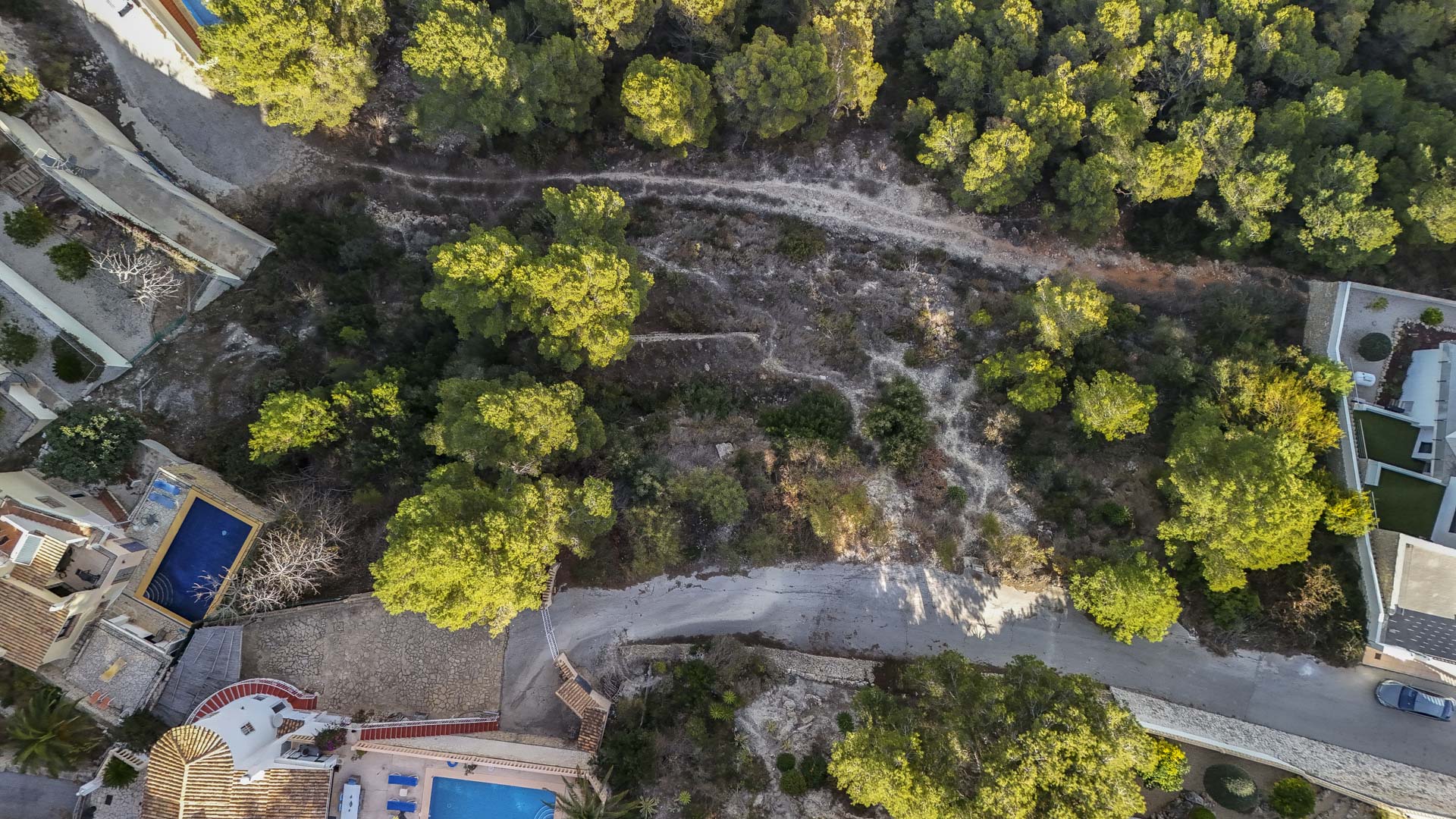 Overhead aerial view of the urban plot in Benissa, featuring natural pine vegetation, sloped terrain, and direct access from a paved residential street.