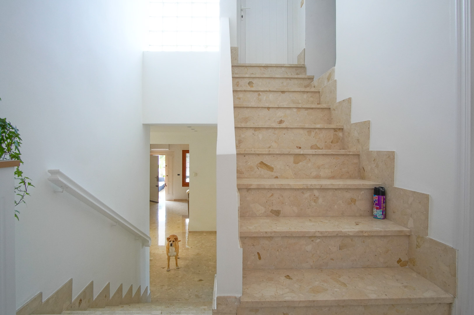 Interior staircase featuring cream marble steps and integrated skirting, brightened by natural light from a glass block window and minimalist white walls.