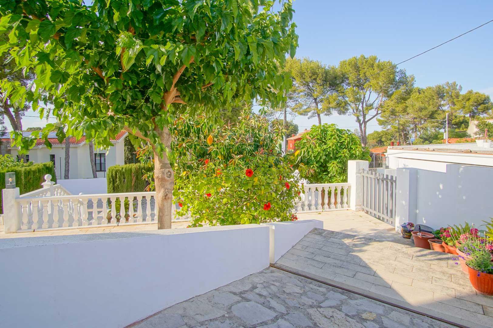 Outdoor terrace featuring a classic white balustrade, stone paving, and lush Mediterranean greenery with flowering hibiscus and mature trees.