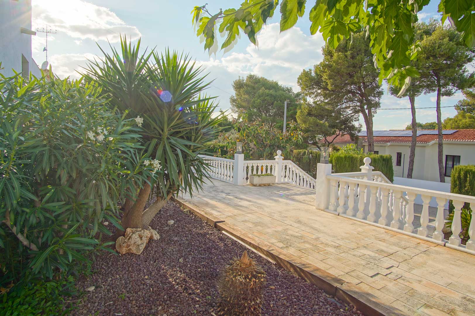 Outdoor terrace featuring a white stone balustrade and paved walkway, bordered by Mediterranean plants and mature pine trees under bright natural light.