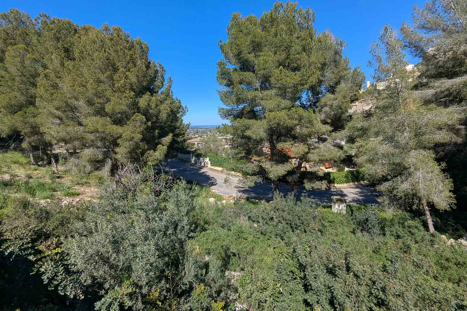 Elevated view from the plot showing the wooded natural surroundings, the access road, and a panoramic vista of the valley with the sea on the horizon.