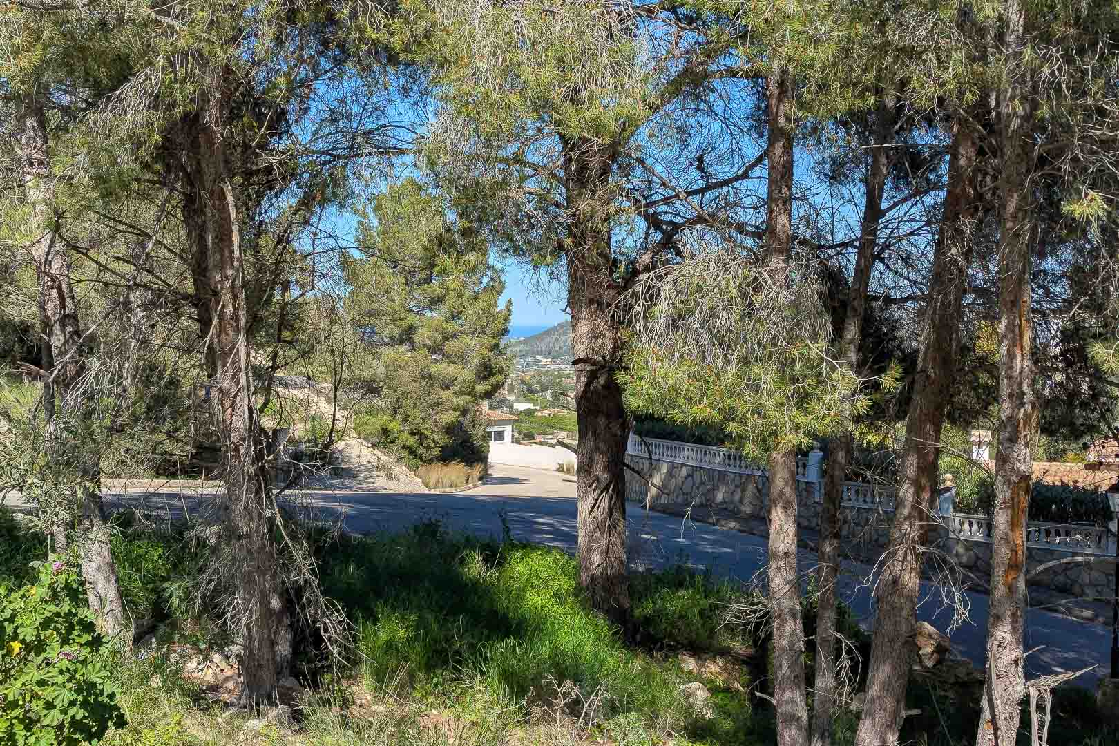 Panoramic view from the plot through mature pine trees, showcasing the natural surroundings and paved access road with distant Mediterranean Sea views.