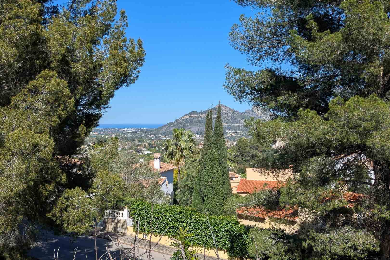 Panoramic views from Monte Solana overlooking the valley and mountains, with the Mediterranean Sea on the horizon framed by pine and cypress trees.