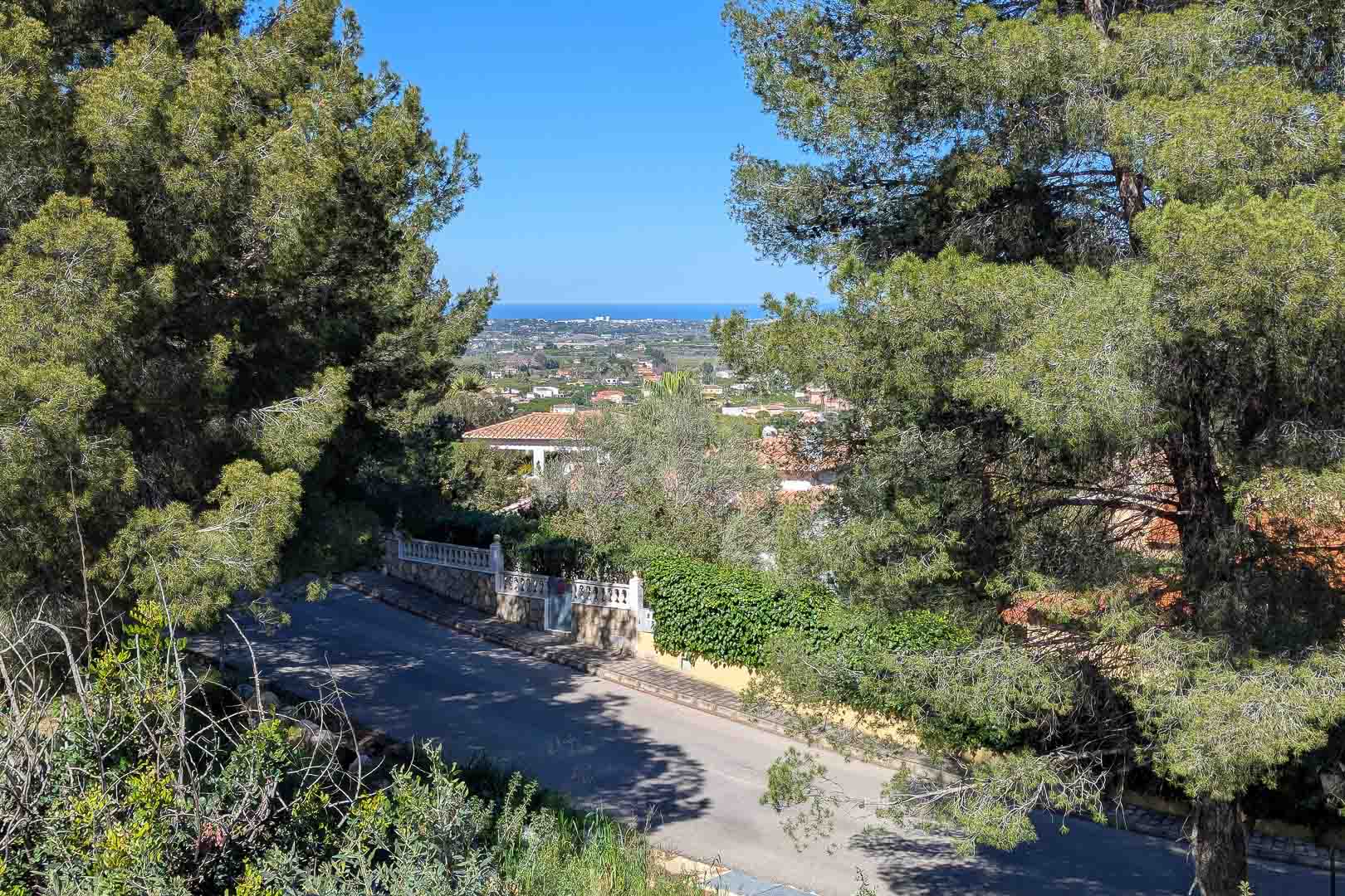 Panoramic views towards the coast from Monte Solana, framed by mature pine trees, overlooking the residential area and the Mediterranean Sea.