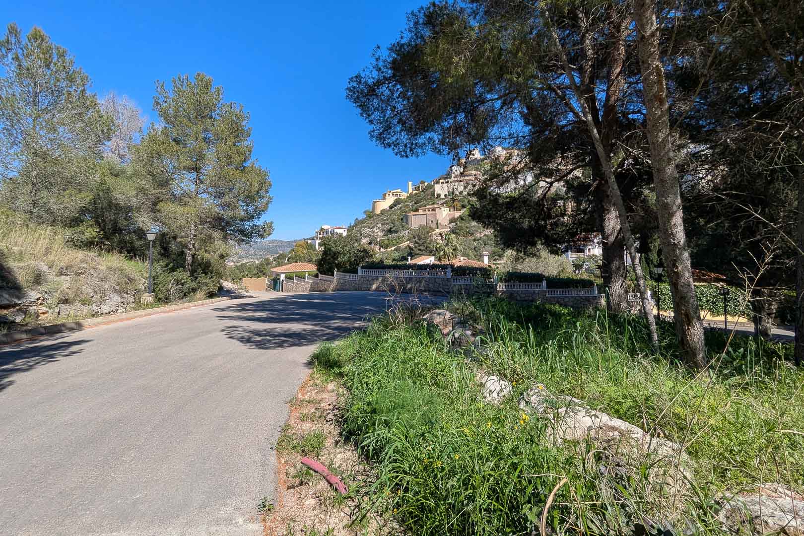 View of the paved access road in the Monte Solana residential area, featuring Mediterranean pines and hillside properties under a clear sky.