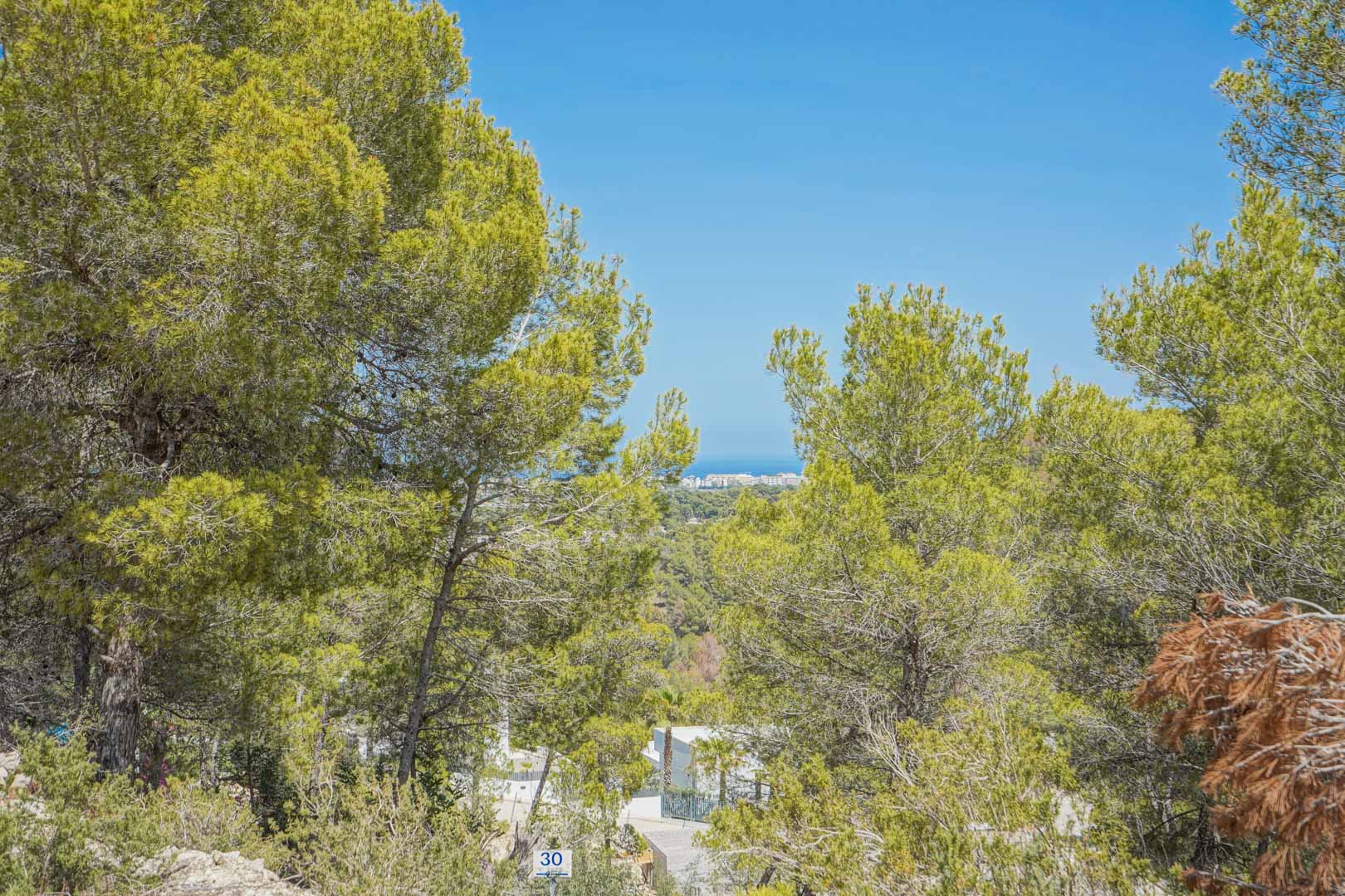 Elevated view from the plot framed by Mediterranean pine trees, showcasing the sloping terrain and distant sea views under a clear blue sky.