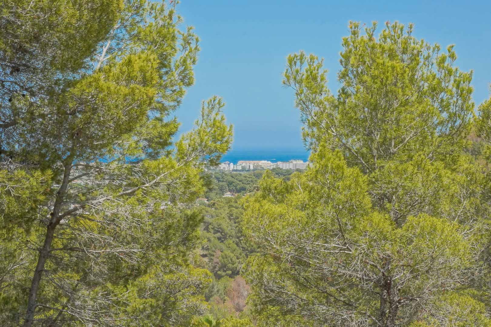 Panoramic view of the Mediterranean Sea and coastal town, framed by native pine trees from the elevated position of the building plot.