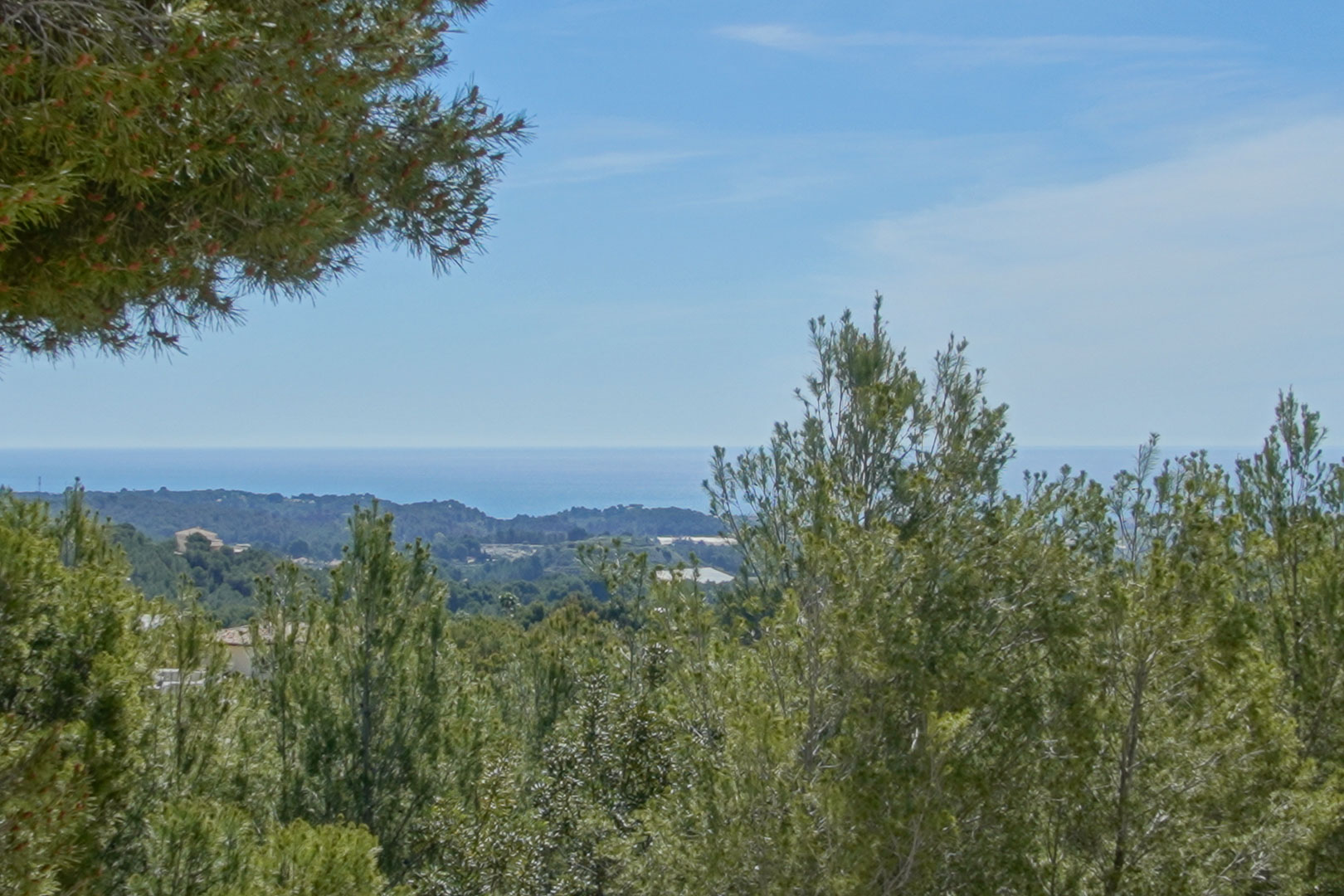 Clear views of the Mediterranean Sea and the surrounding natural landscape, framed by the lush pine vegetation characteristic of the Altea region.