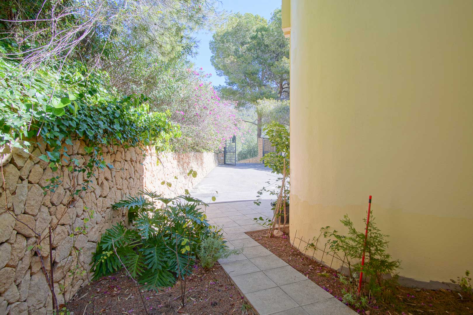 Paved side path adjacent to a natural stone wall and lush Mediterranean greenery, leading past the villa's curved yellow facade toward the gated entrance.