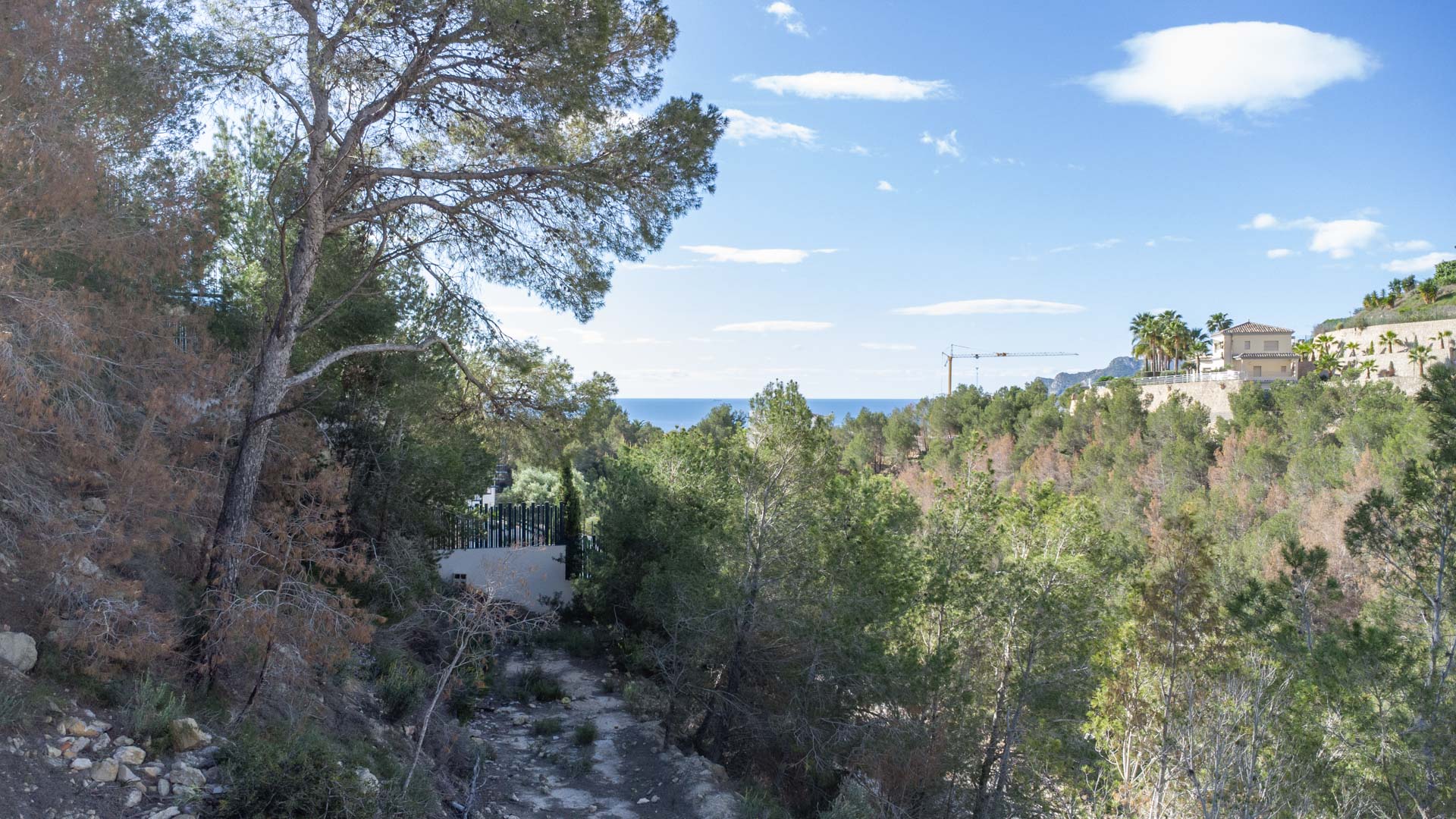 Elevated plot view overlooking the Mediterranean Sea, featuring natural pine forest surroundings and sloped terrain in the Raco de Galeno area.
