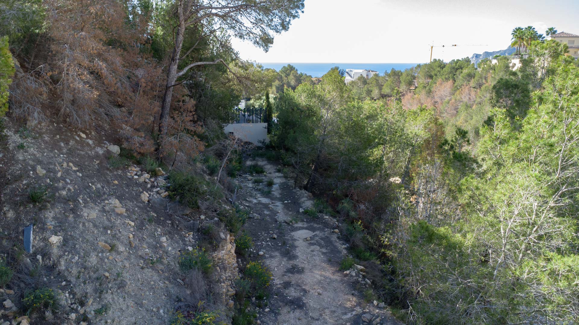 Elevated view of the building plot in Raco de Galeno, featuring natural sloped terrain with pine trees and distant Mediterranean Sea views.