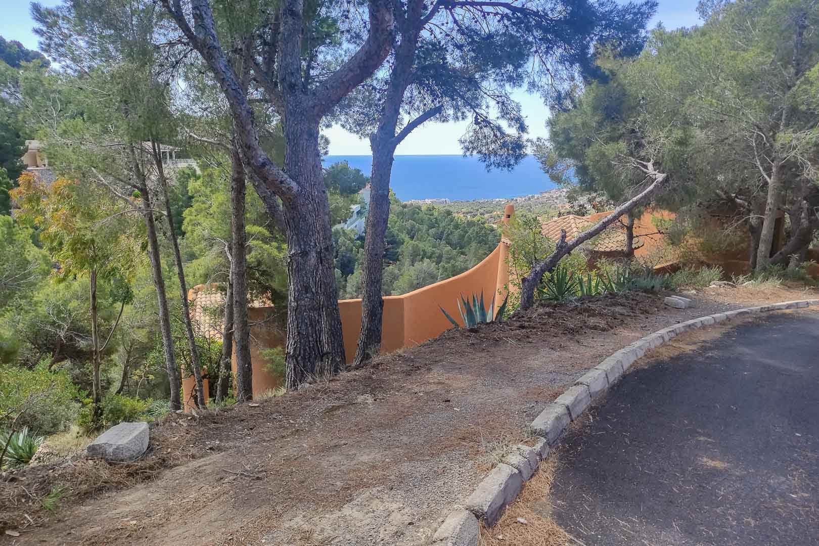 Panoramic Mediterranean Sea views from the elevated plot access, framed by mature pine trees and native vegetation in a secluded natural setting.