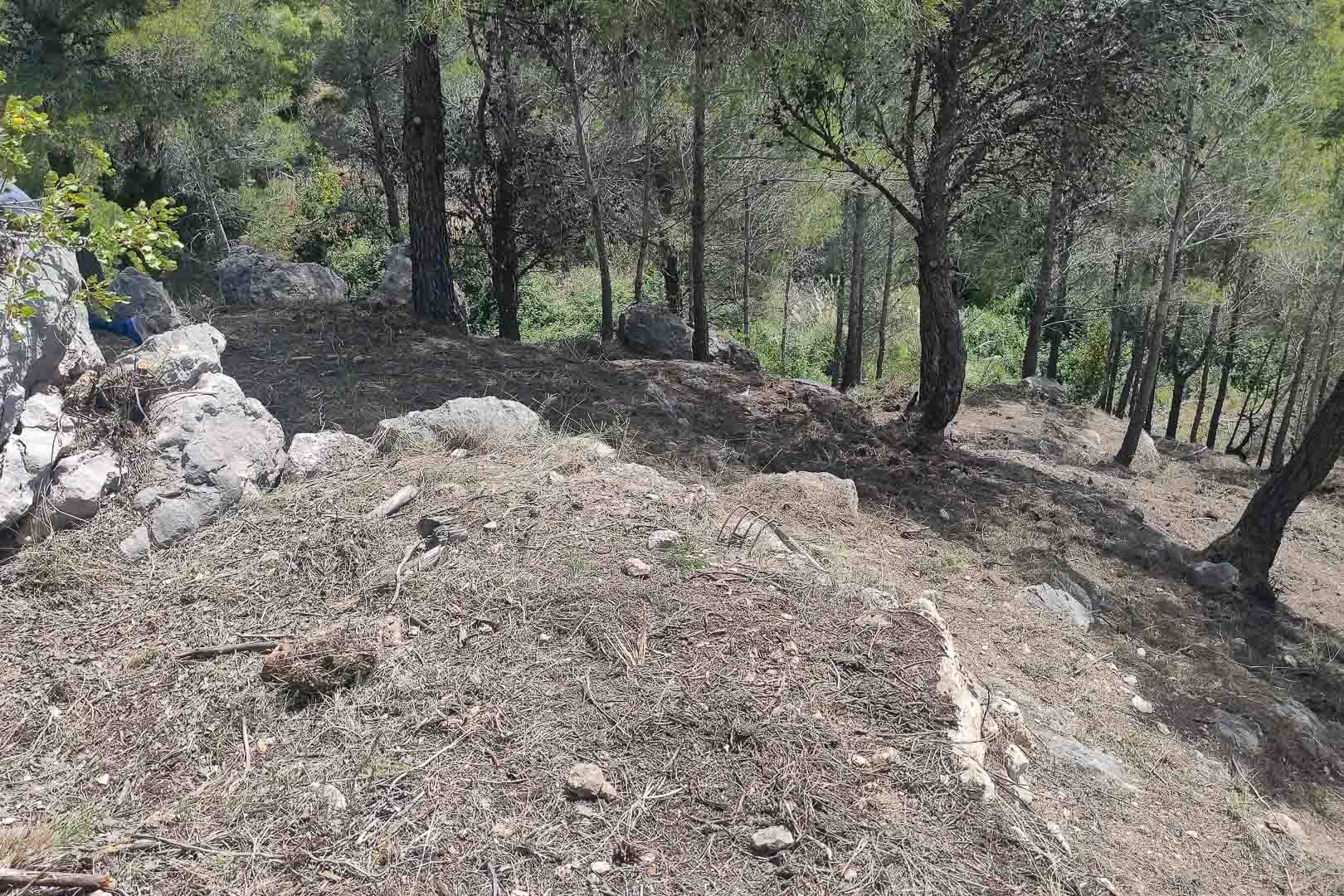 Sloping natural terrain featuring native pine trees and rocky ground within the villa's expansive Mediterranean plot.