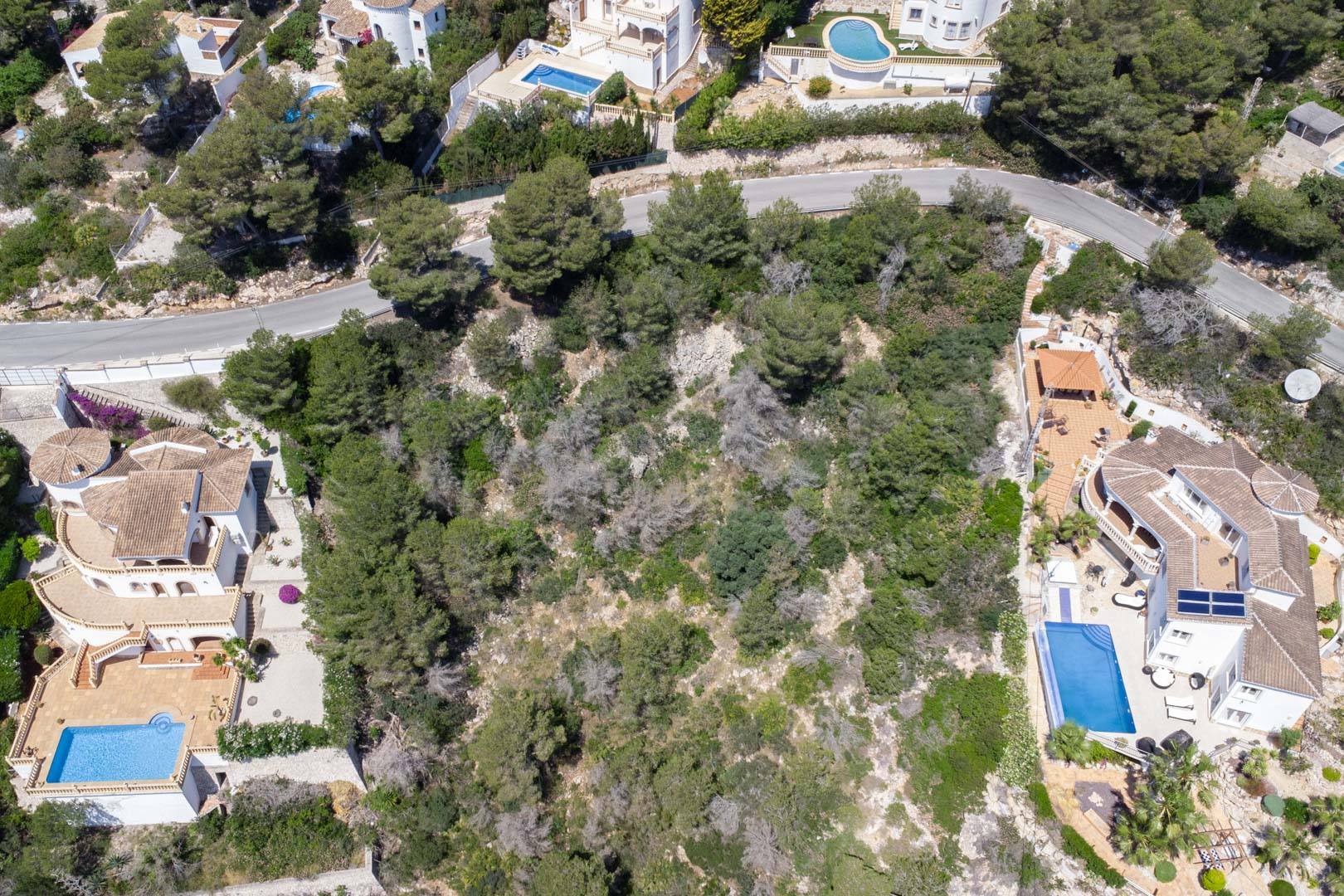 Aerial view of the sloping plot in Costa Nova, featuring Mediterranean pine trees and proximity to established villas with private pools and paved access.