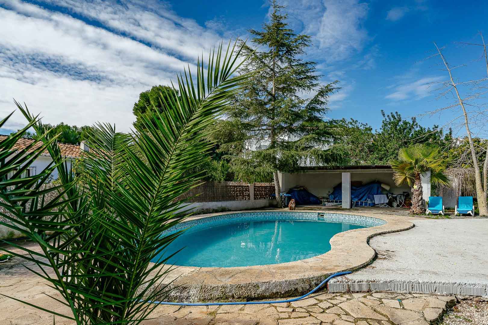 Kidney-shaped private swimming pool featuring a stone-paved sun terrace, mature palm trees, and a covered outdoor storage area in a Mediterranean garden setting.