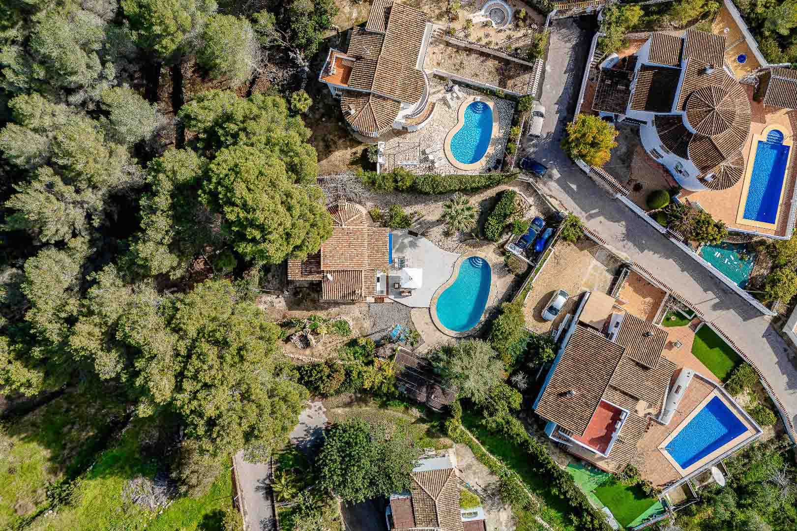 Zenithal aerial view showing the villa's plot layout, the kidney-shaped private pool, and its direct proximity to the lush Mediterranean pine forest in Moraira.