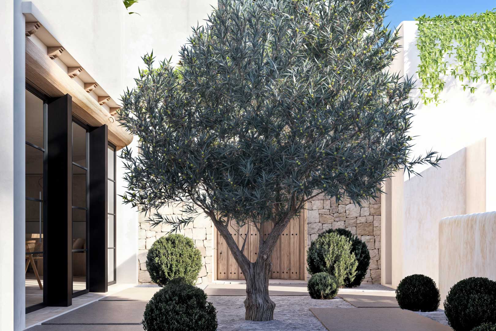 Courtyard with olive tree, topiary hedges, and rustic wood door in stone wall.