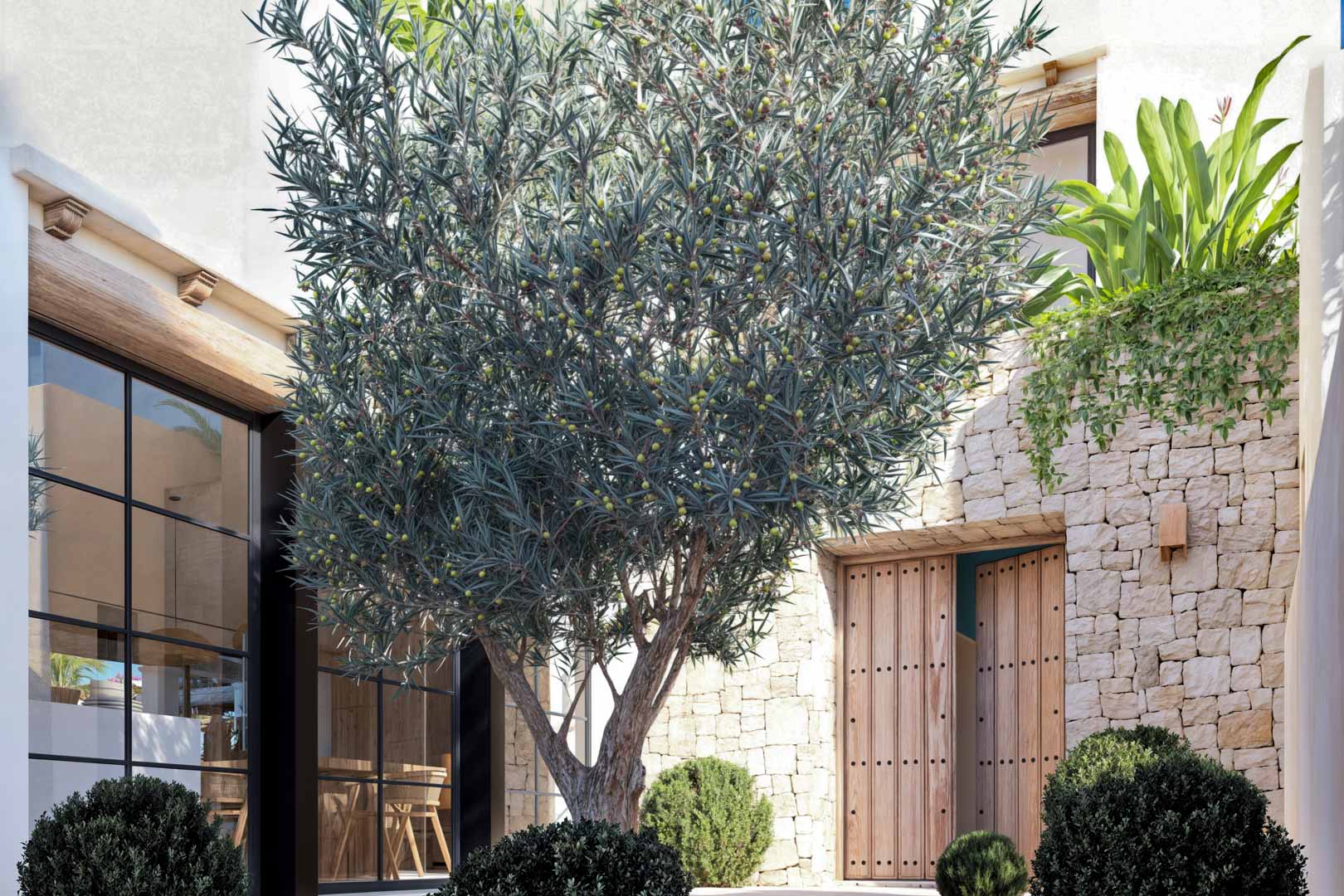 Entrance detail with wooden door and young olive tree in the garden.