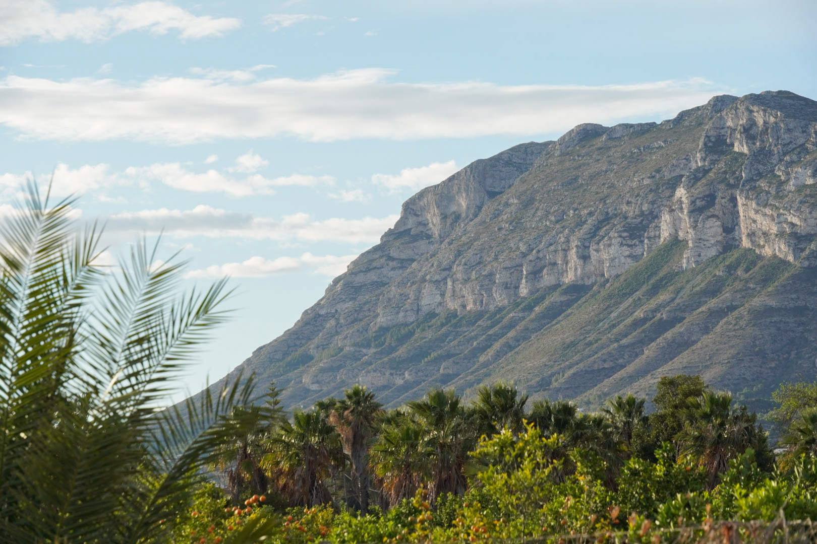 View of the rocky mountain from gardens featuring palm trees and fruit trees.