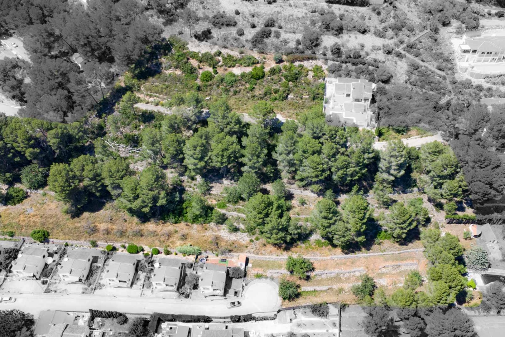 Aerial view of the elevated building plots in Alcalalí, featuring mature pine trees and Mediterranean landscape within a quiet residential area.