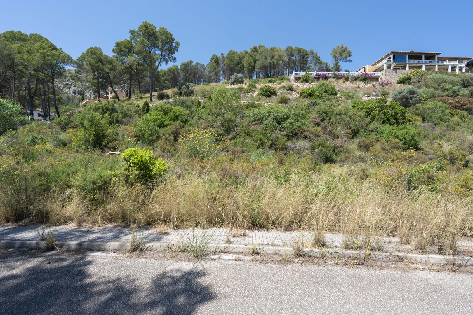 Elevated building plot in Alcalalí featuring Mediterranean vegetation and street access, positioned below established villas with expansive views.