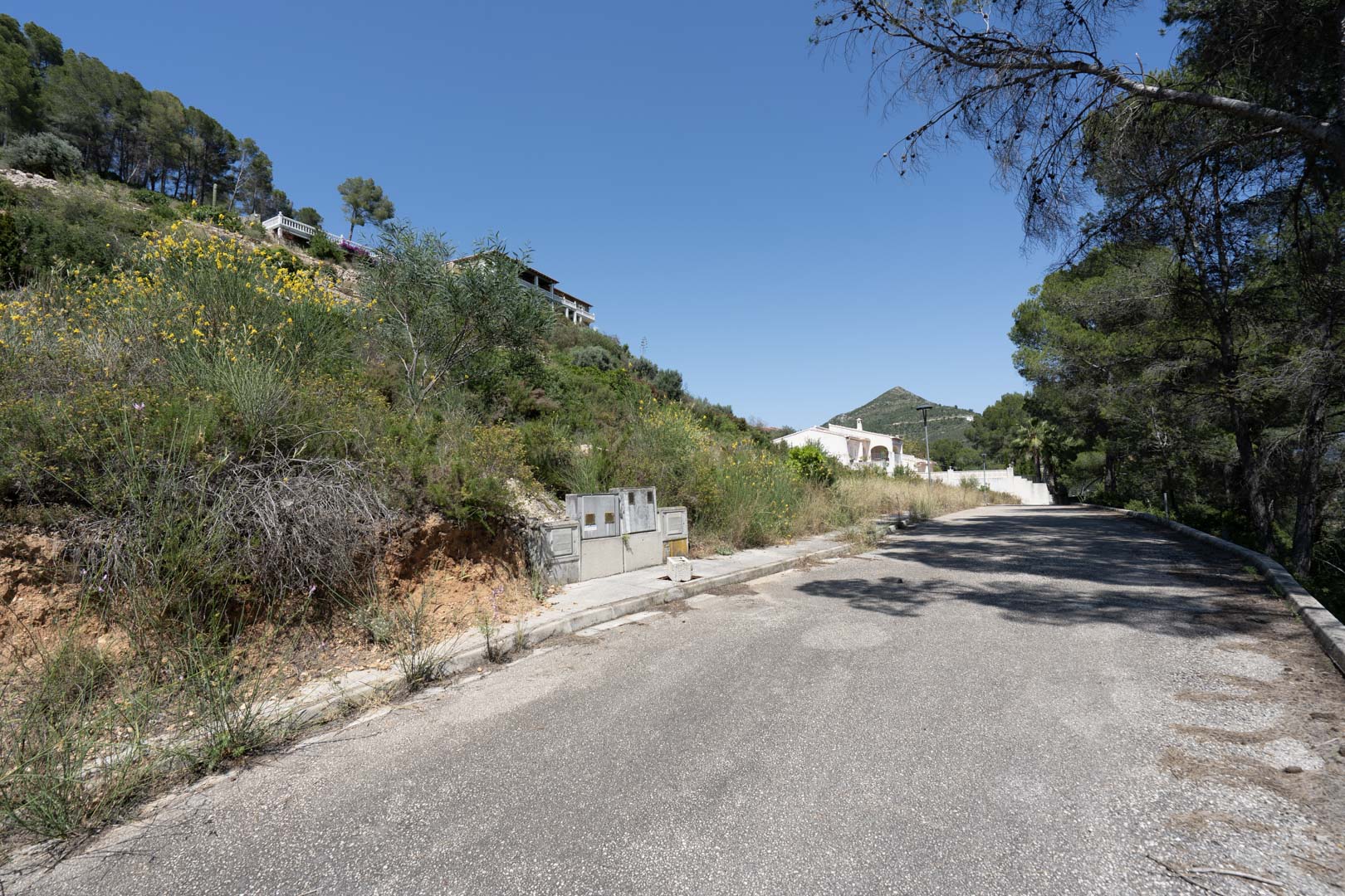 Paved access road to the VALL DE POP residential area in Alcalalí, featuring installed utility connections and natural hillside Mediterranean vegetation.