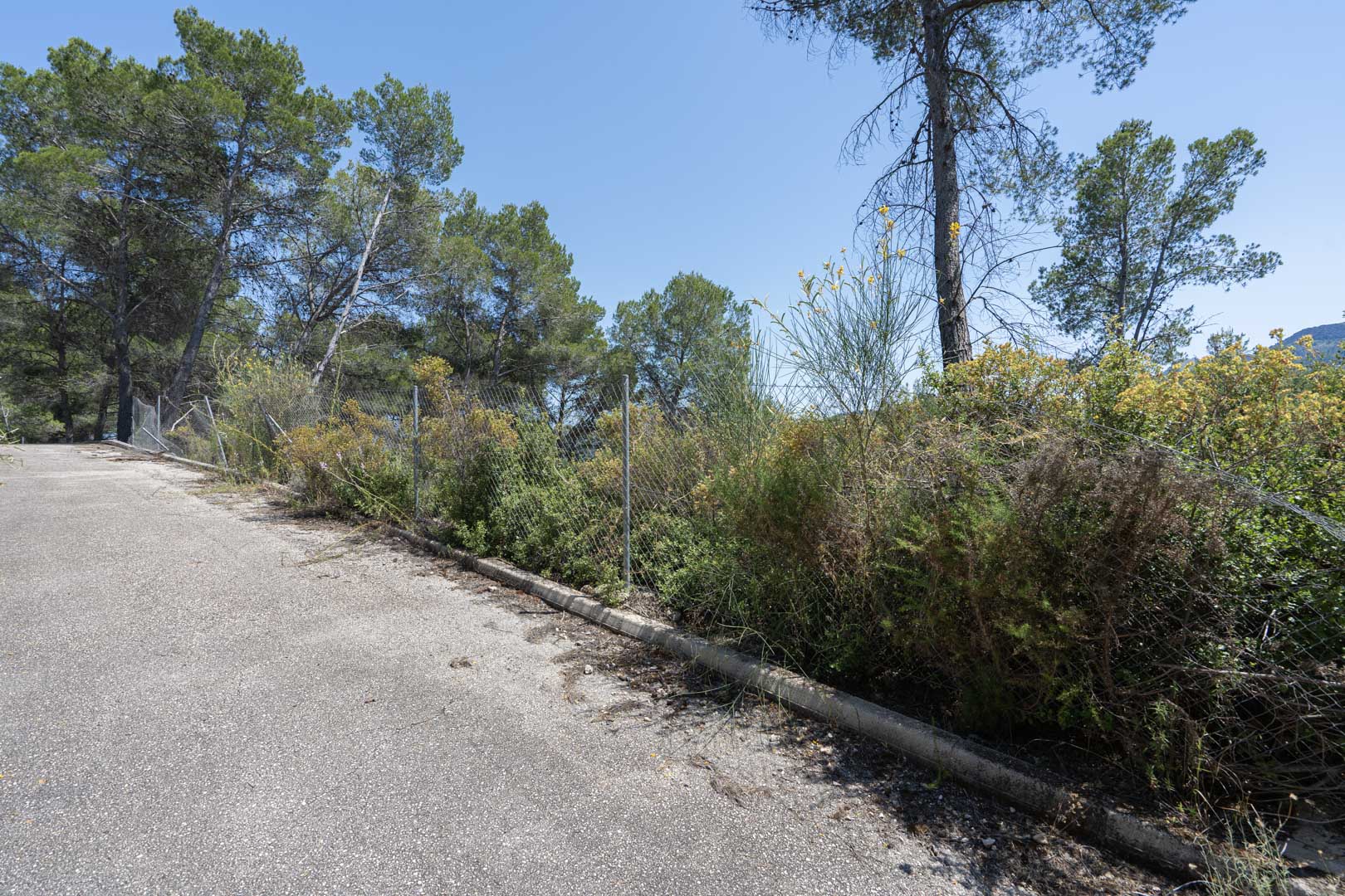 View of the paved access road bordered by native Mediterranean shrubs, mature pine trees, and a perimeter chain-link fence under a clear sky.