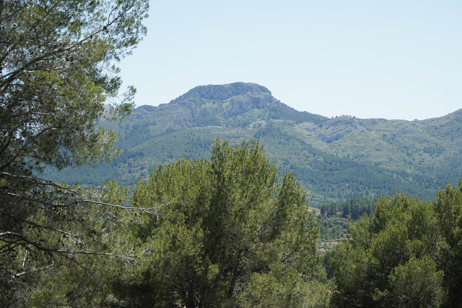 Panoramic views of the mountains and valley from the elevated site in Alcalalí, framed by native pine trees and Mediterranean landscape.